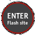 Enter Flash Site
