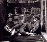 Juveniles